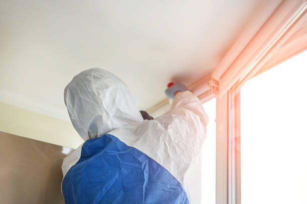 Mold Remediation for Vacation Homes in Limestone Creek, FL