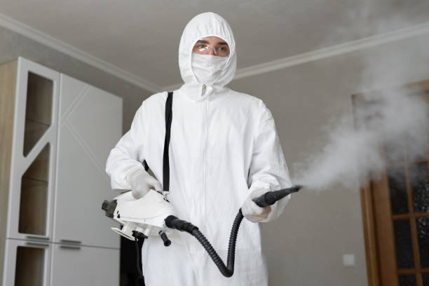 Why You Should Choose Our Mold Remediation Services in Limestone Creek, FL